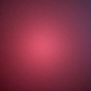 Meet your Posher, Alejandrina